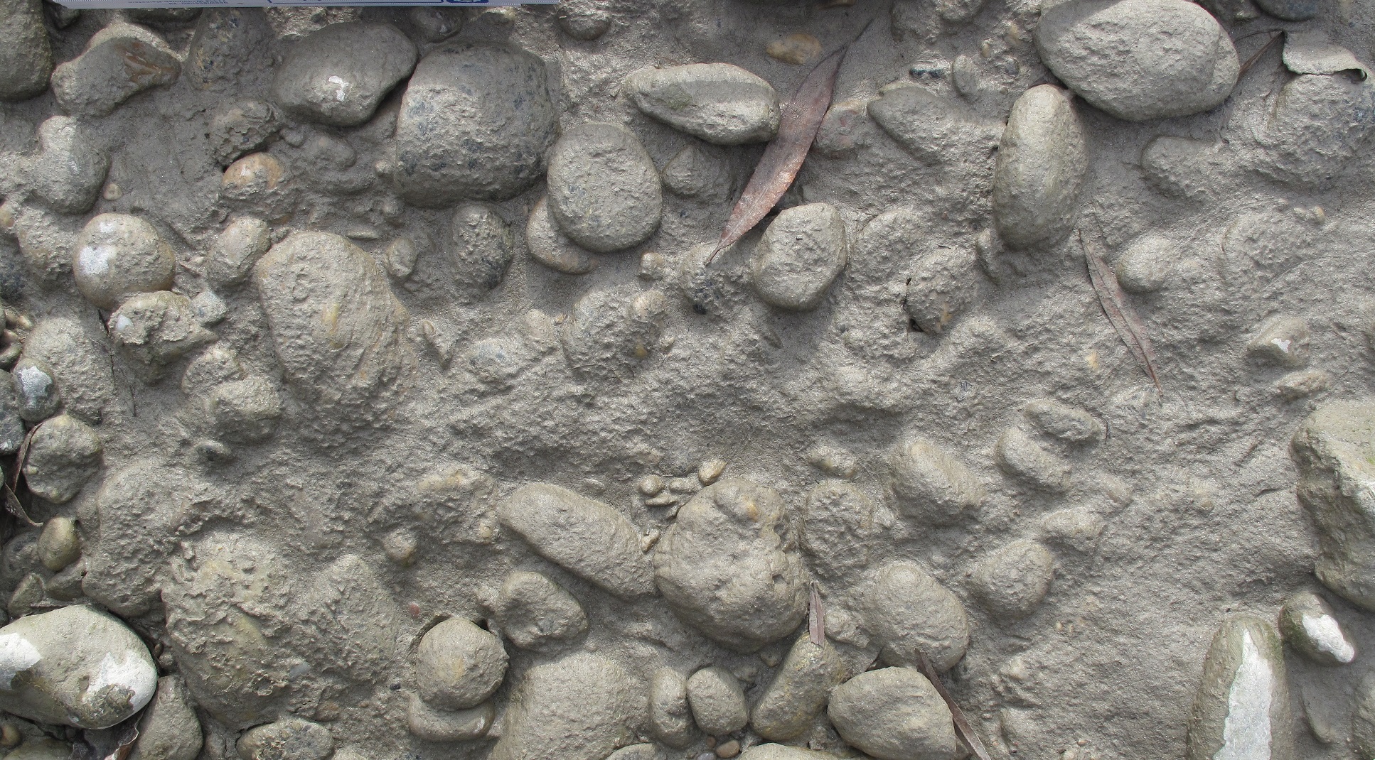 Beispiel für eine kolmatierte Gewässersohle Projekt Töging, Beispiel für eine kolmatierte Gewässersohle