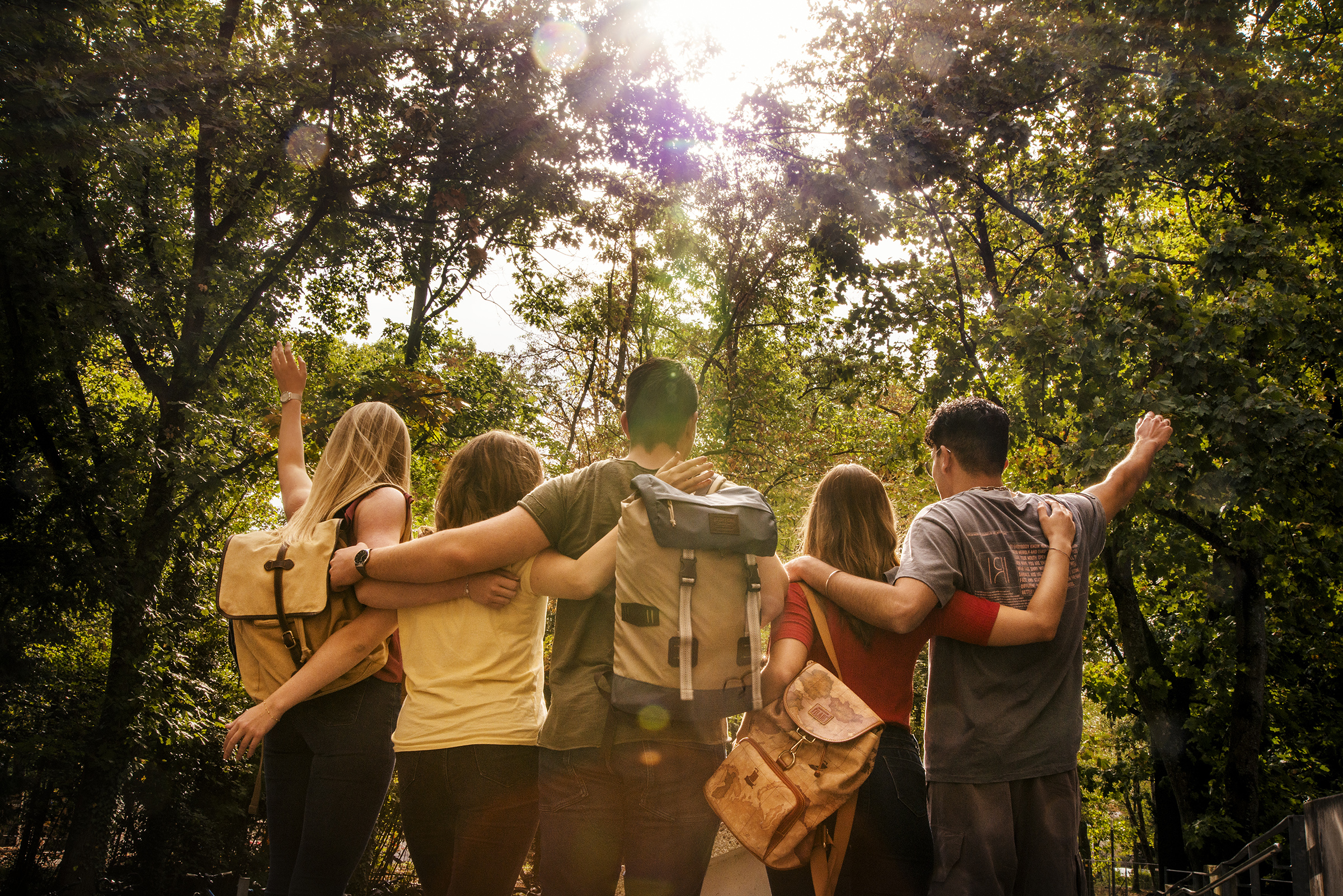 Group of young people hiking in wooded area Group of young people hiking in wooded area