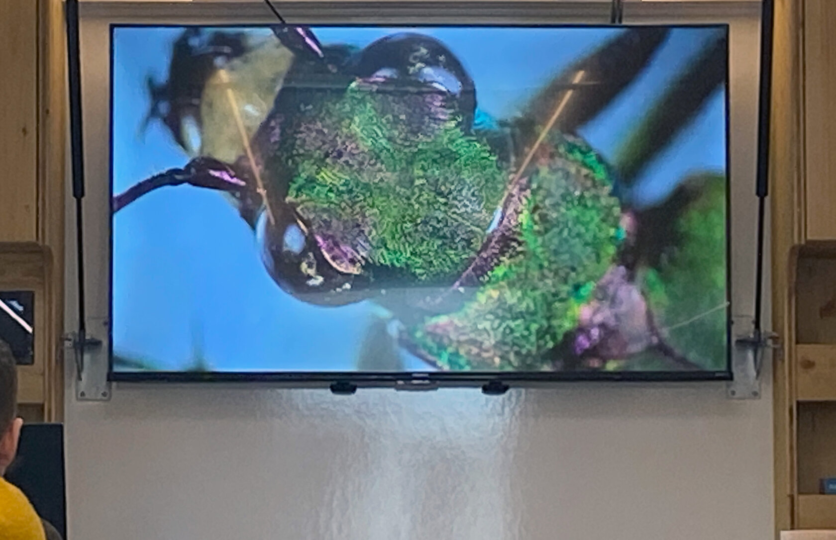 Ferienbetreuung mit dem Ökomobil