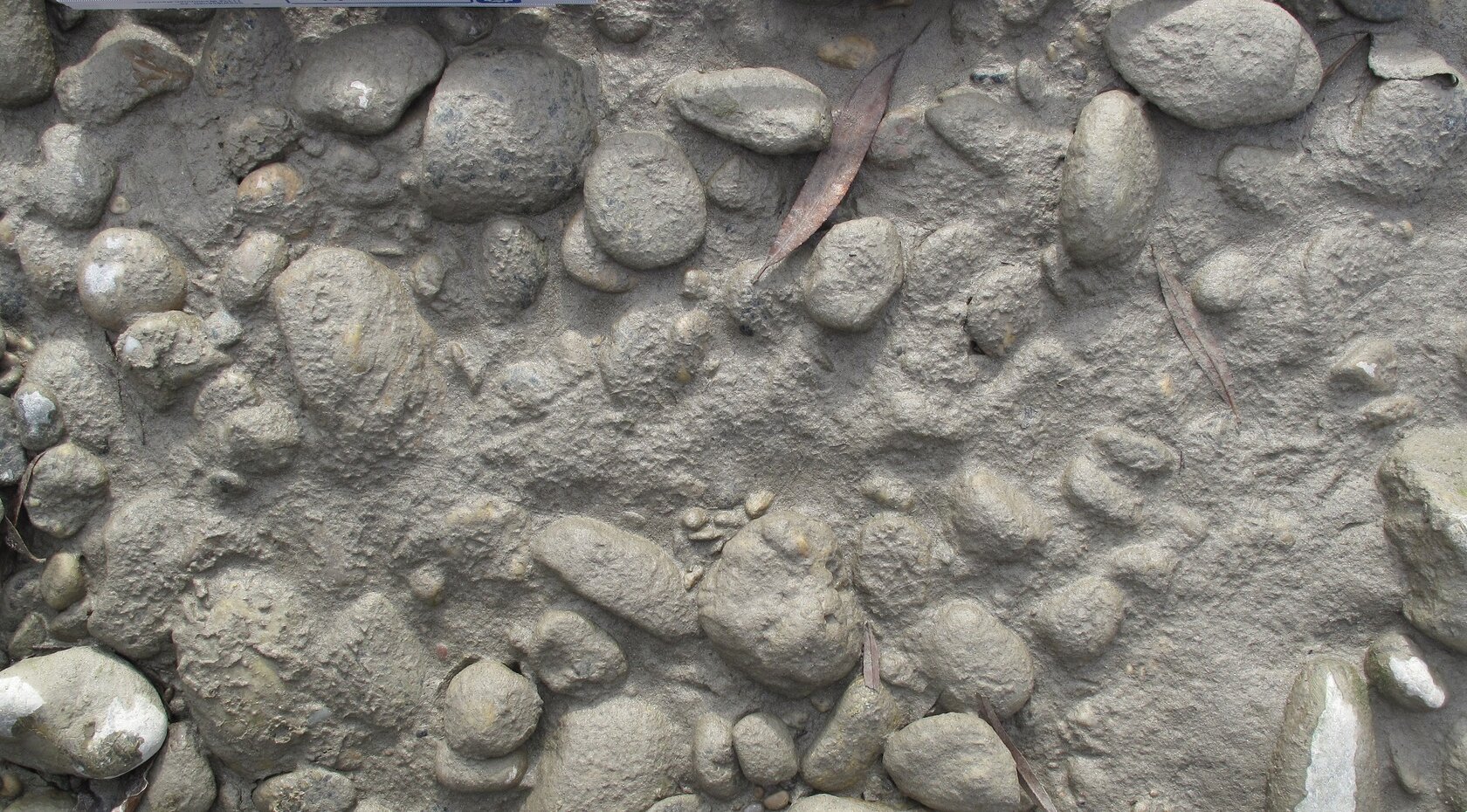 Beispiel für eine kolmatierte Gewässersohle Projekt Töging, Beispiel für eine kolmatierte Gewässersohle
