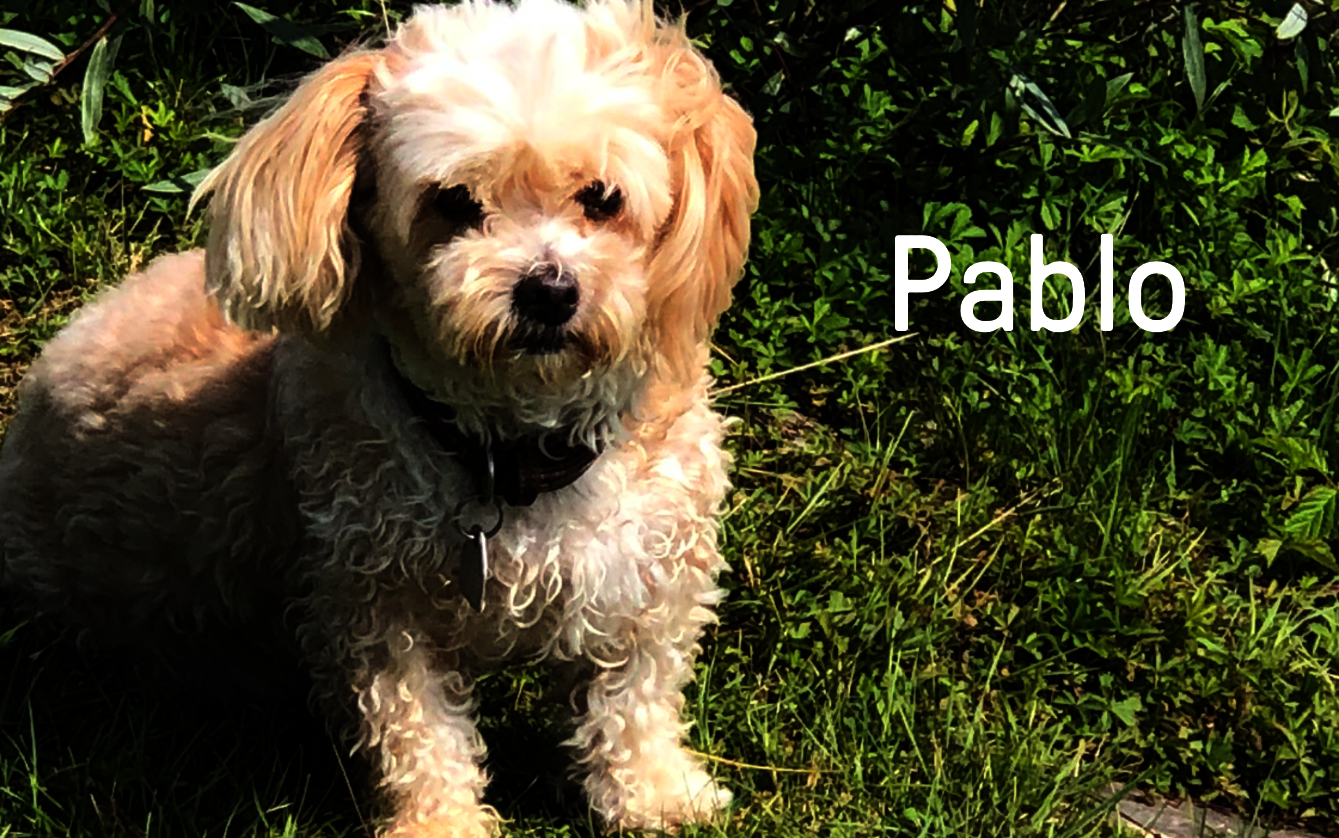 Pablo
