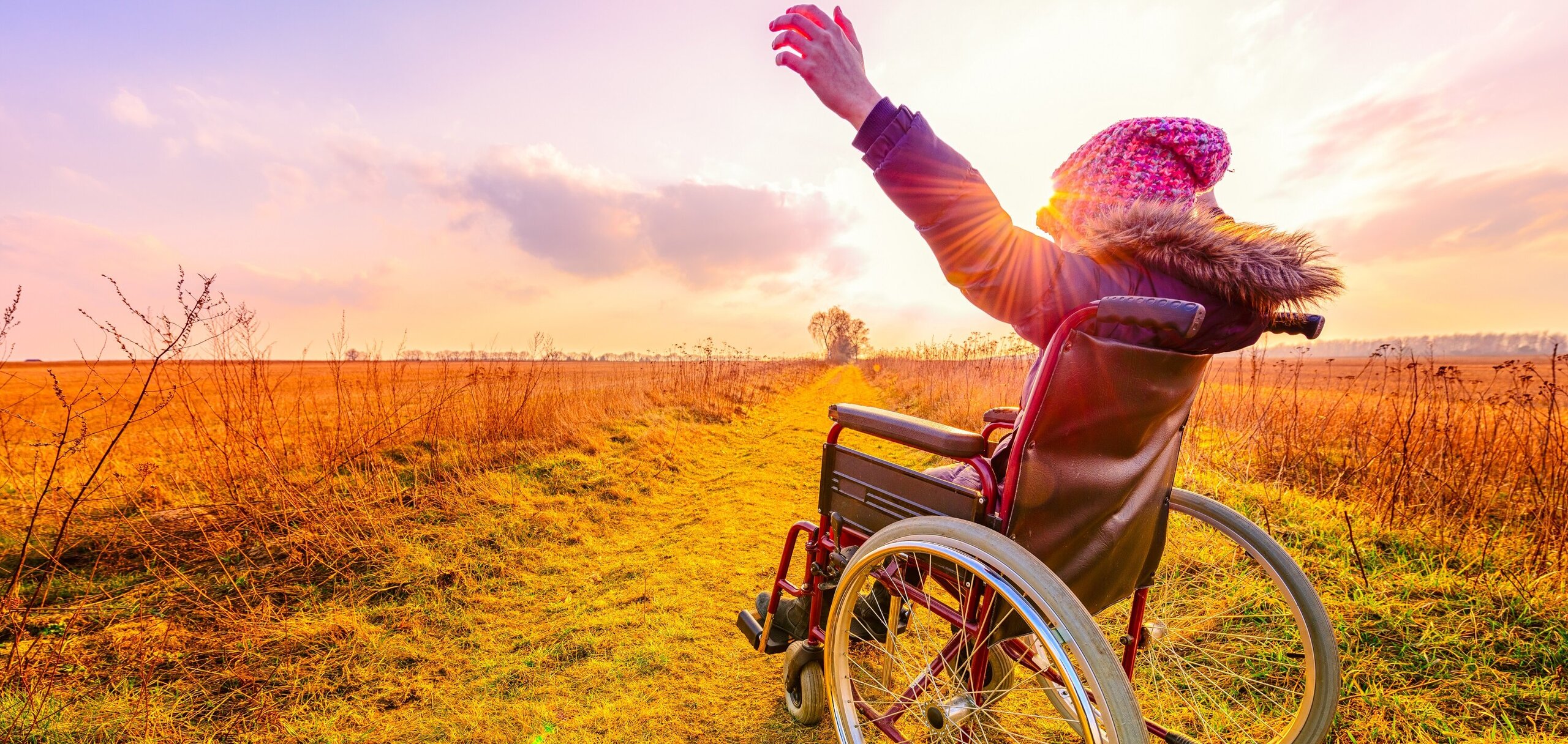 Happy woman at sunset. A young girl in a wheelchair - back view